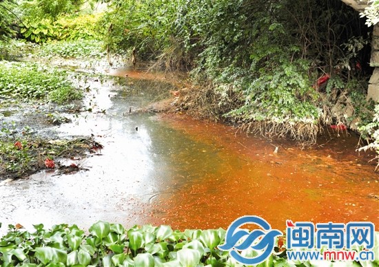 玉田渠水面，水浮蓮叢生，散發(fā)陣陣惡臭