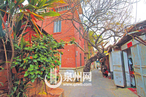 臺(tái)魁巷里，落葉如黃金般鋪滿地。