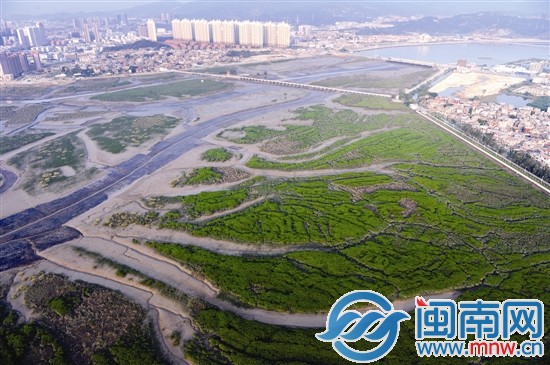 洛陽(yáng)橋畔如今生態(tài)保護(hù)依然良好