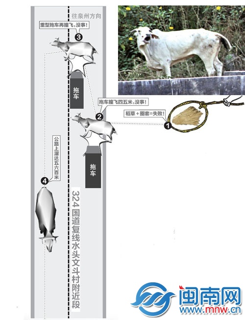 示意圖