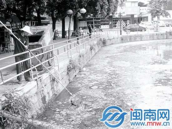 2009年，百源清池池水黑臭
