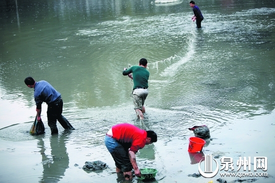 “絕戶(hù)網(wǎng)”捕魚(yú)，破壞漁業(yè)生態(tài)