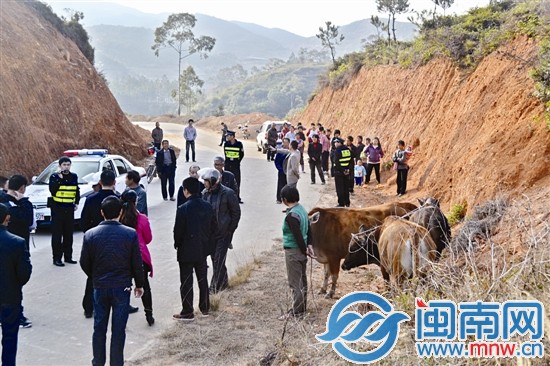 在兩村交界處，民警宣讀鑒定結(jié)果，村民圍觀