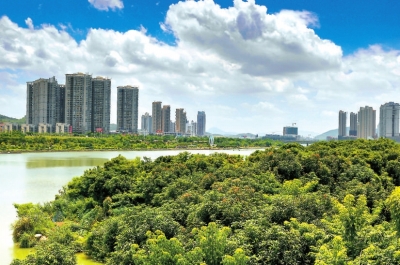 西溪兩岸郁郁蔥蔥，生機(jī)盎然