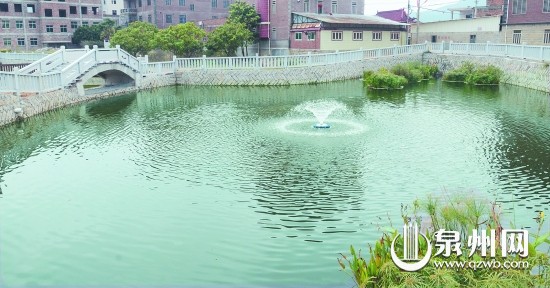 馬甲鎮(zhèn)新民村的氧化塘。