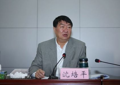 云南原副省長沈培平從博士畢業(yè)到教授僅花5個(gè)月