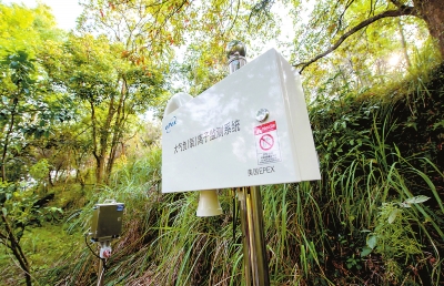 設(shè)立在靈應(yīng)寺景區(qū)內(nèi)的大氣負(fù)（氧）離子監(jiān)測設(shè)備。
