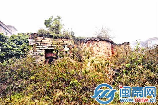 槐山村一處古窯，已經(jīng)被草叢包圍