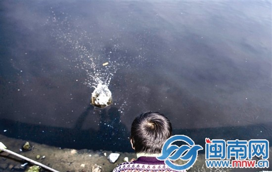 阿寶的樂(lè)園，是家門口那灣水塘