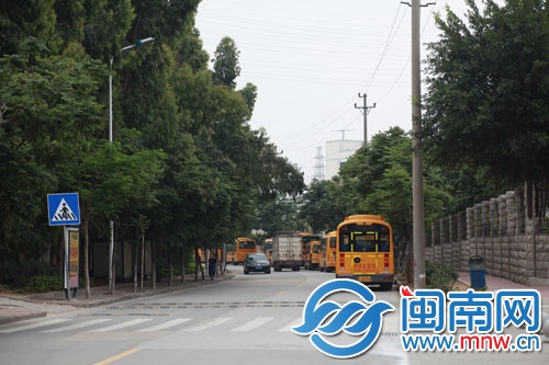 崇文街兩邊的臺(tái)灣欒樹