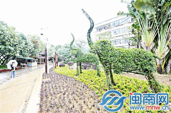 雖然下雨，仍有游客駐足拍照