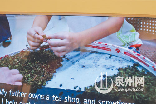 視頻展示安溪鐵觀音制作過程