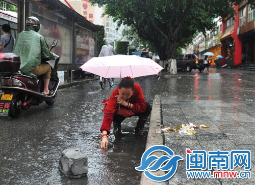泉州市區(qū)泉秀街，阿婆撐傘俯身挨個清理井口的垃圾