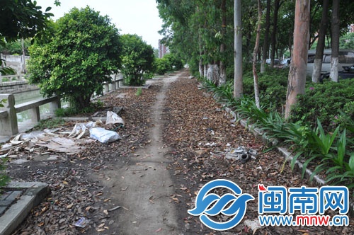 內溝河邊通道上，堆滿了枯枝落葉