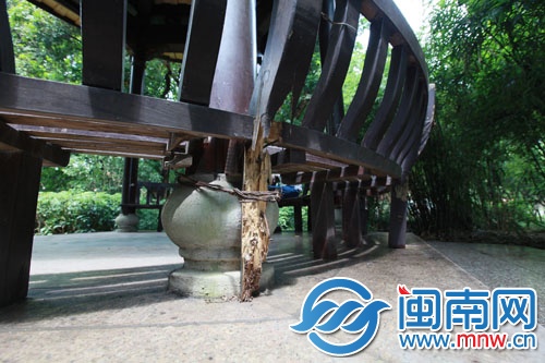 芳草園涼亭木椅腳蟲(chóng)蛀嚴(yán)重，只是簡(jiǎn)單地用鐵線固定