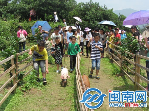 小朋友們在玩“小豬賽跑”游戲