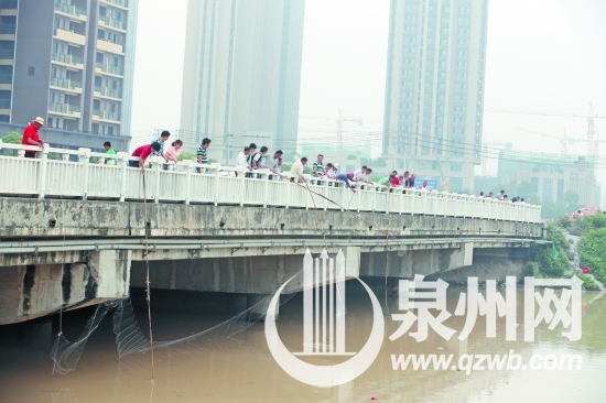 不少人拿著網兜和漁網在橋上撈魚