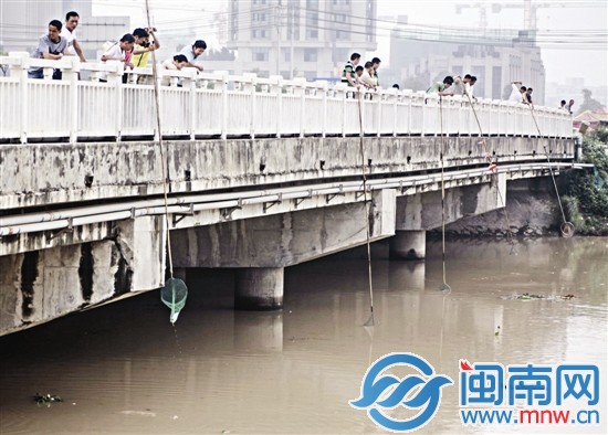 周邊不少工友加入，撈魚場面火熱