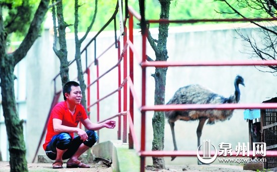 新建起的休閑場所分散了人流，晉江敏月動物園內(nèi)游客