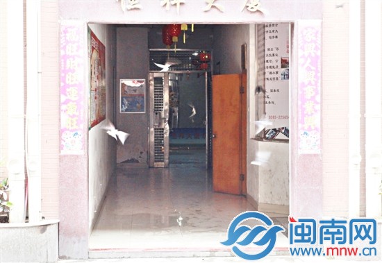 上午幾十只燕子飛來(lái)捕食“紛飛”的白蟻，麻雀隨后加