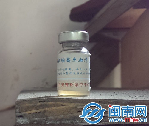 店鋪內的樓梯上，擺著一瓶血清