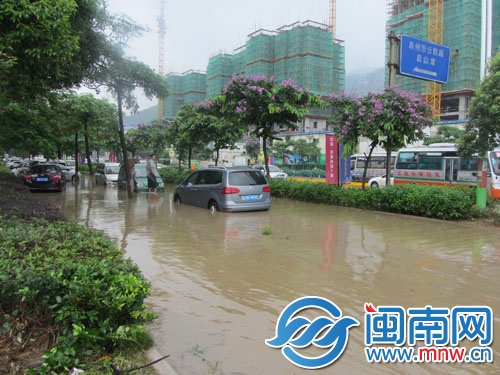 非機(jī)動(dòng)車道積水漫過(guò)綠化帶