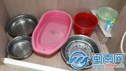 在王女士家的衛(wèi)生間內(nèi)，大大小小的盆子裝滿了水