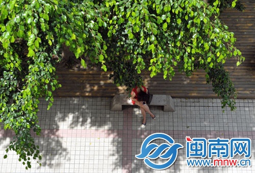 一位女子躲在樹陰下玩手機
