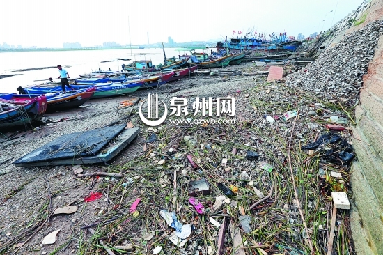 岸邊堆滿海蠣殼和生活垃圾，明顯久未清理