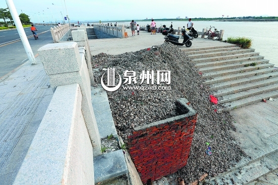 臺階上海蠣殼占去過半行走區(qū)域