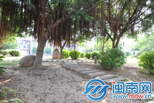 伍堡公園一處樹下，沒有綠化，光禿禿
