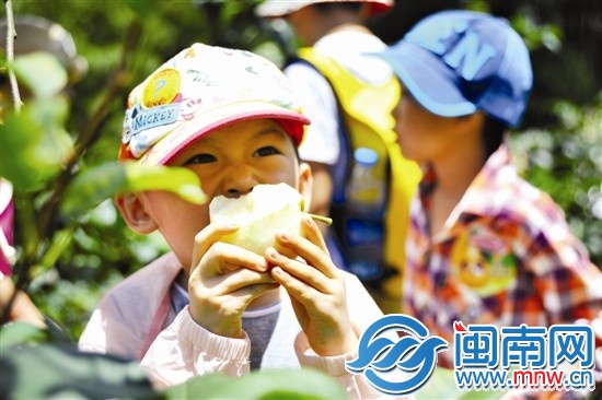 剛摘下來的梨子，忍不住先咬一口