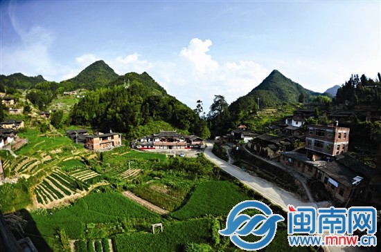 福中村蒼翠的自然生態(tài)