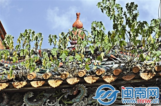 花橋?qū)m屋頂長(zhǎng)滿小樹，根須滲入瓦礫