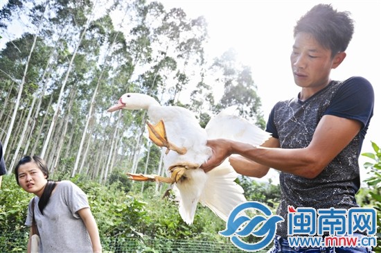 厝邊來(lái)看稀奇，因?yàn)樗L(zhǎng)了“三腿四爪”