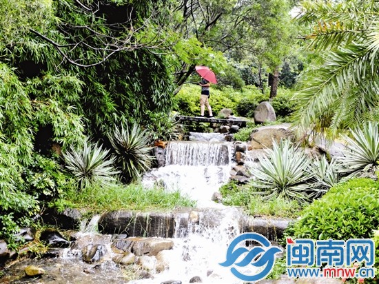 泉州森林公園里現(xiàn)一道小瀑布
